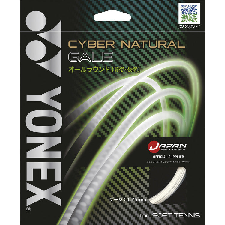サイバーナチュラルゲイル（CSG650GA）